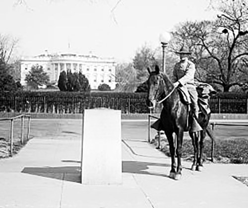 Heath Franck (w2036)