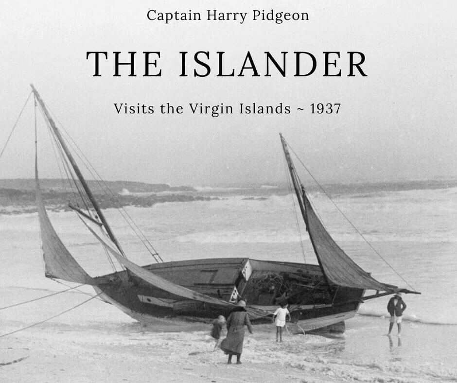 Pidgeon Harry (w2381)