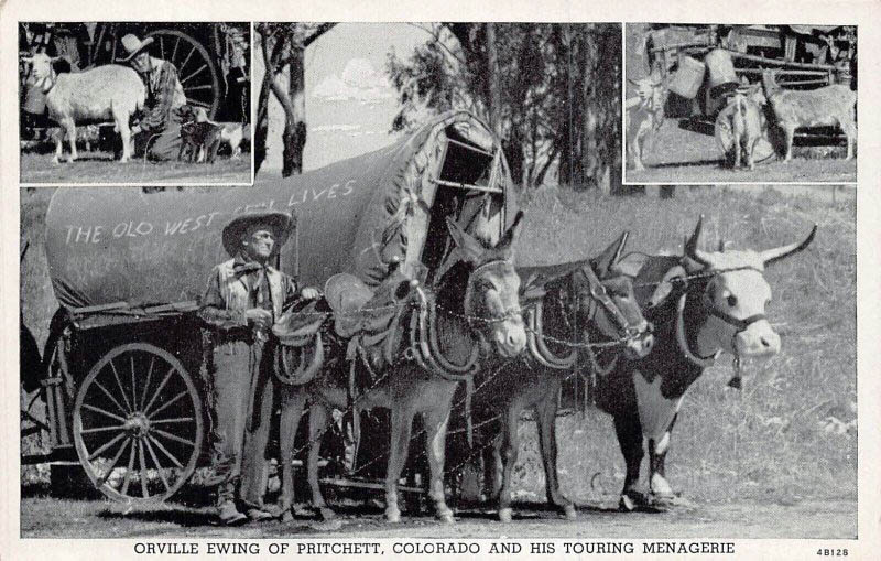 Orville Ewing (w2344)