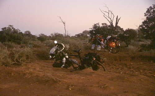 Schleicher Thomas (w2481)