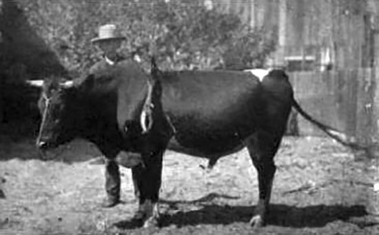 Seymour E. J. (w2610)