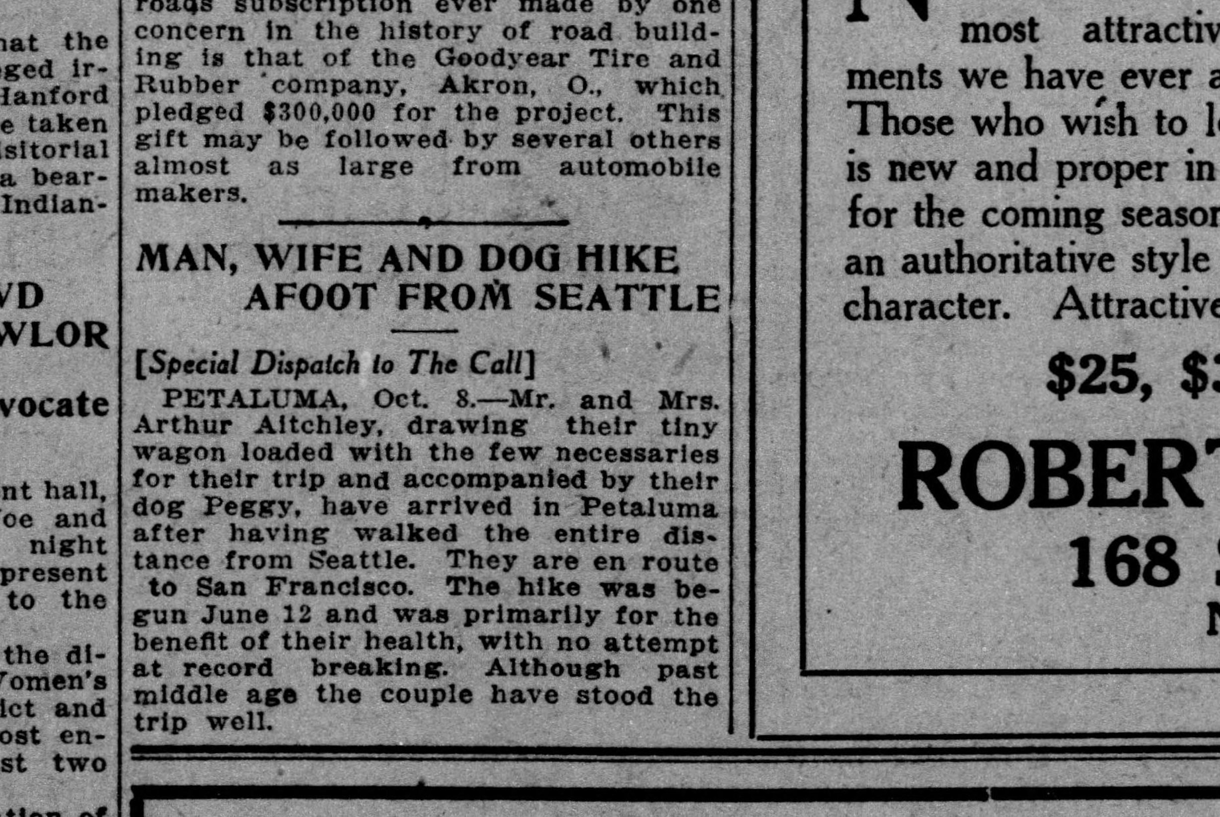 Aitchley Arthur (w397)