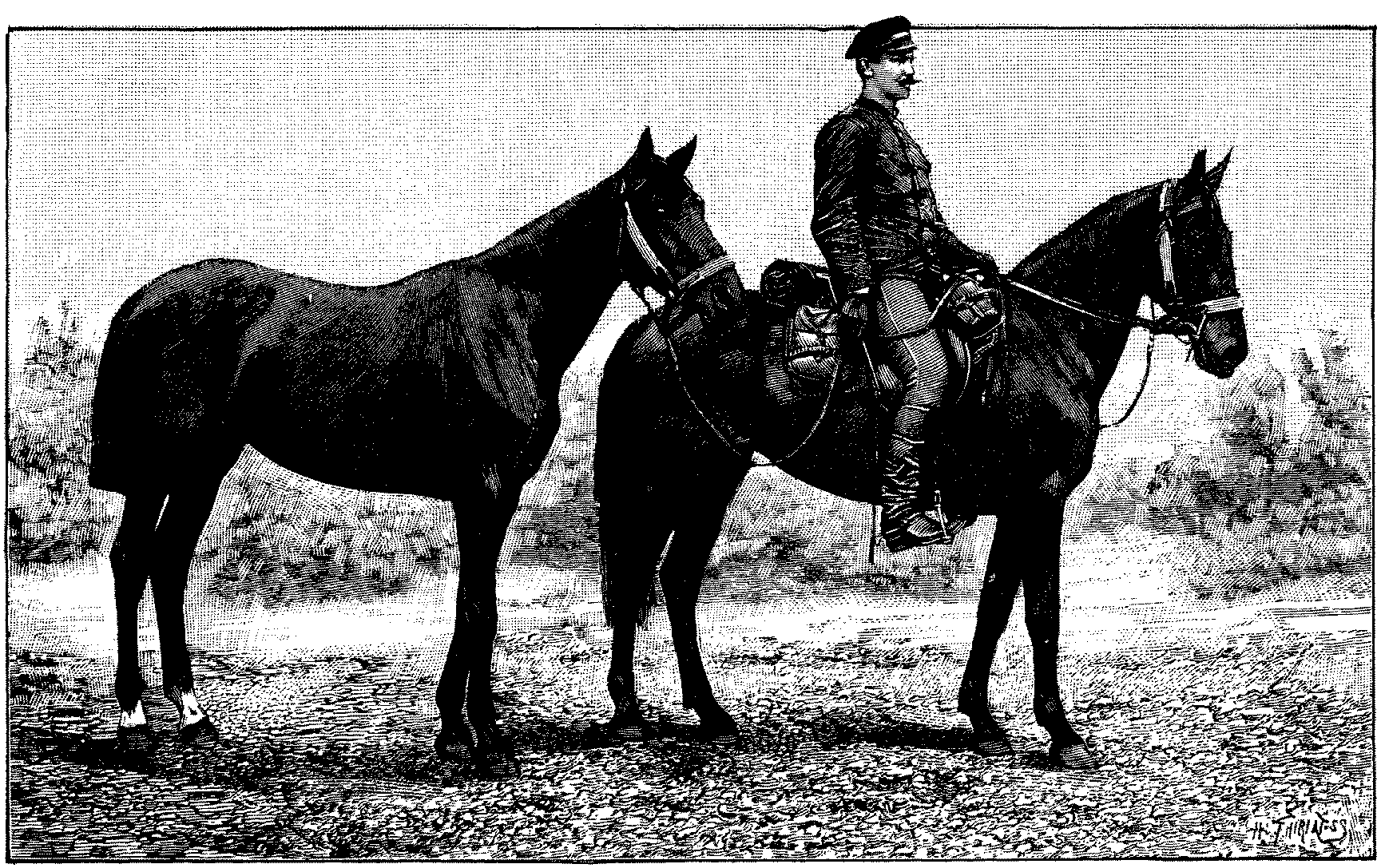 Asseyev Mikhail (w1662)