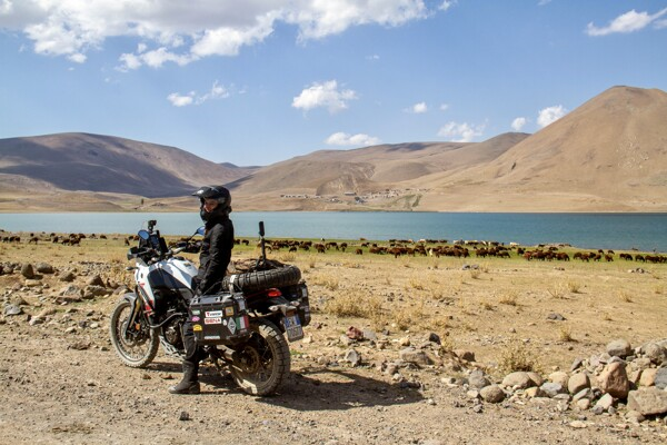 D'Alonzo Francesca (w2992)