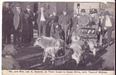 Damrel Jas W. (w1823)