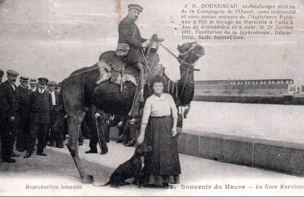 Doussineau J. B. (w1882)