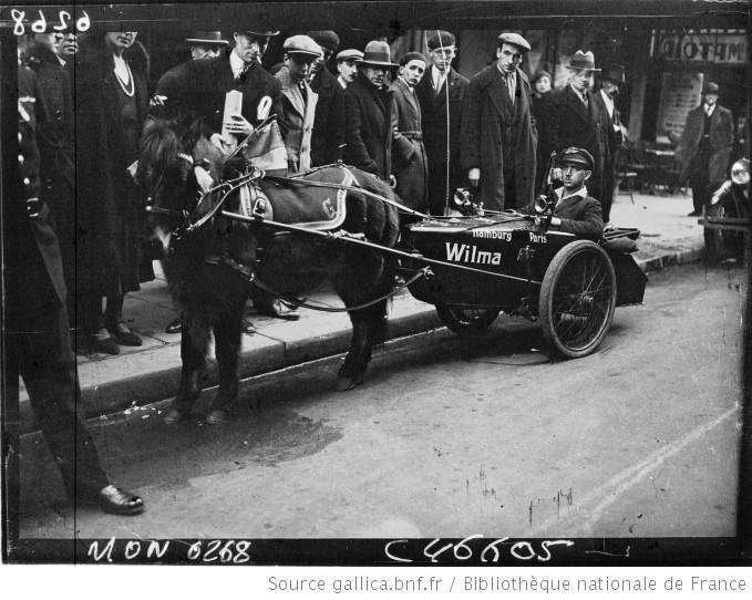 Ganz Friedrich (w1963)