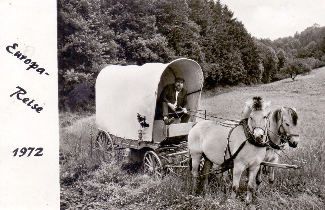 Kluckmann Horst (w3065)