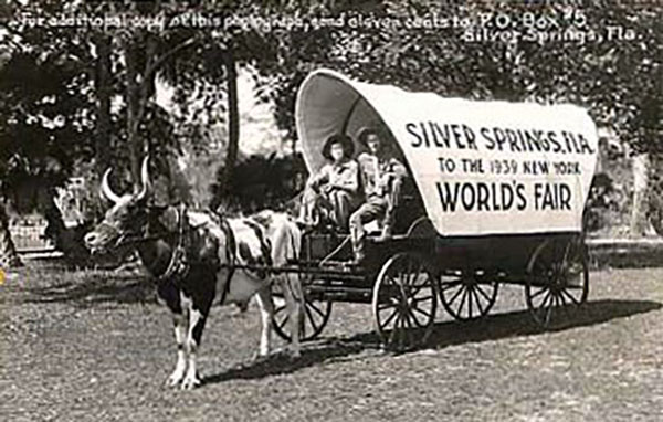 Unknown traveler, Sconosciuto, Inconnu (w2564)