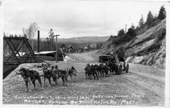 Williams Slim (w2785)