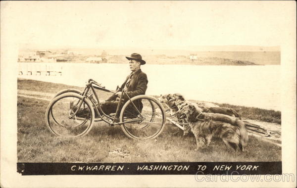 Warren C. W. (w2766)