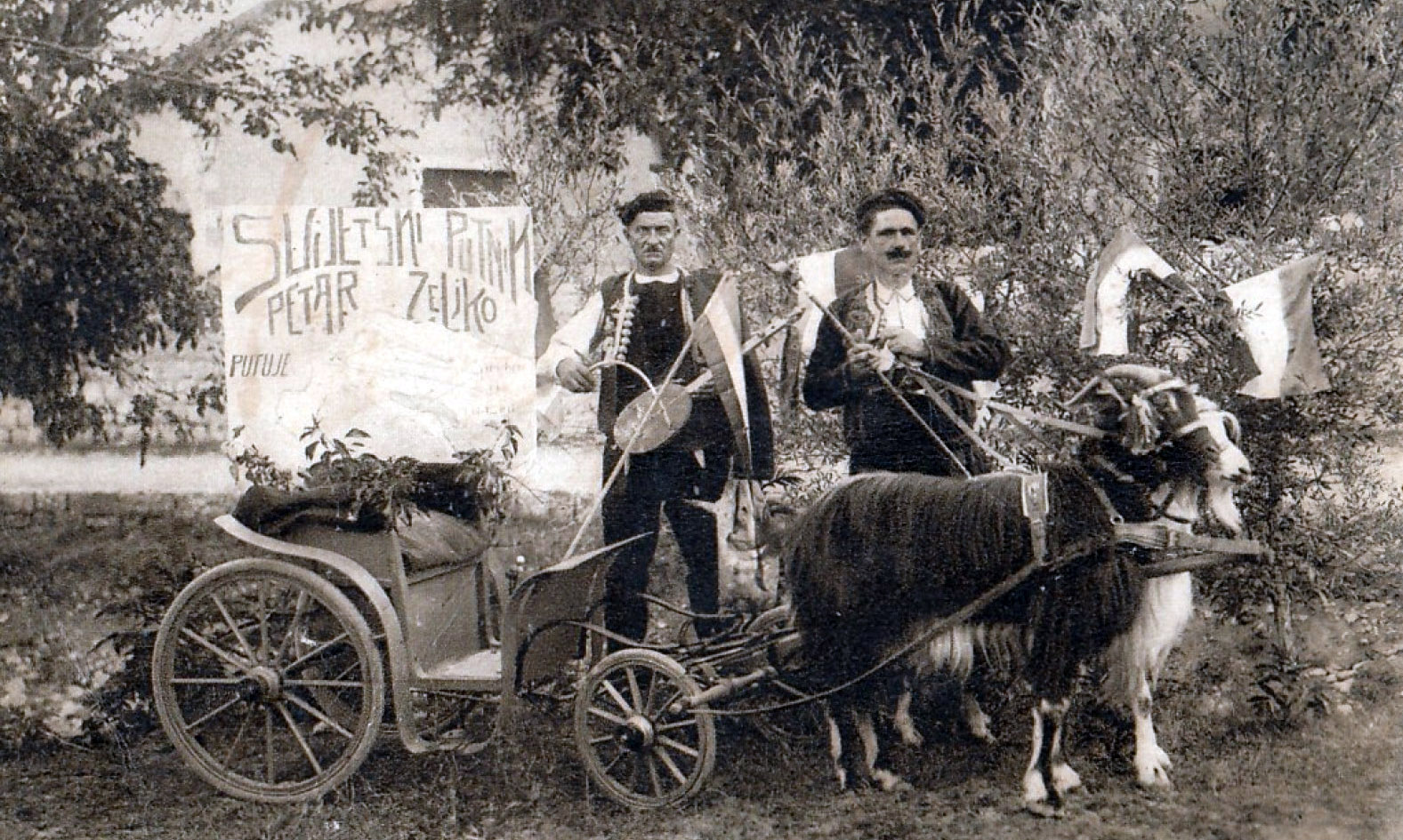 Zeljko Peter (w2818)