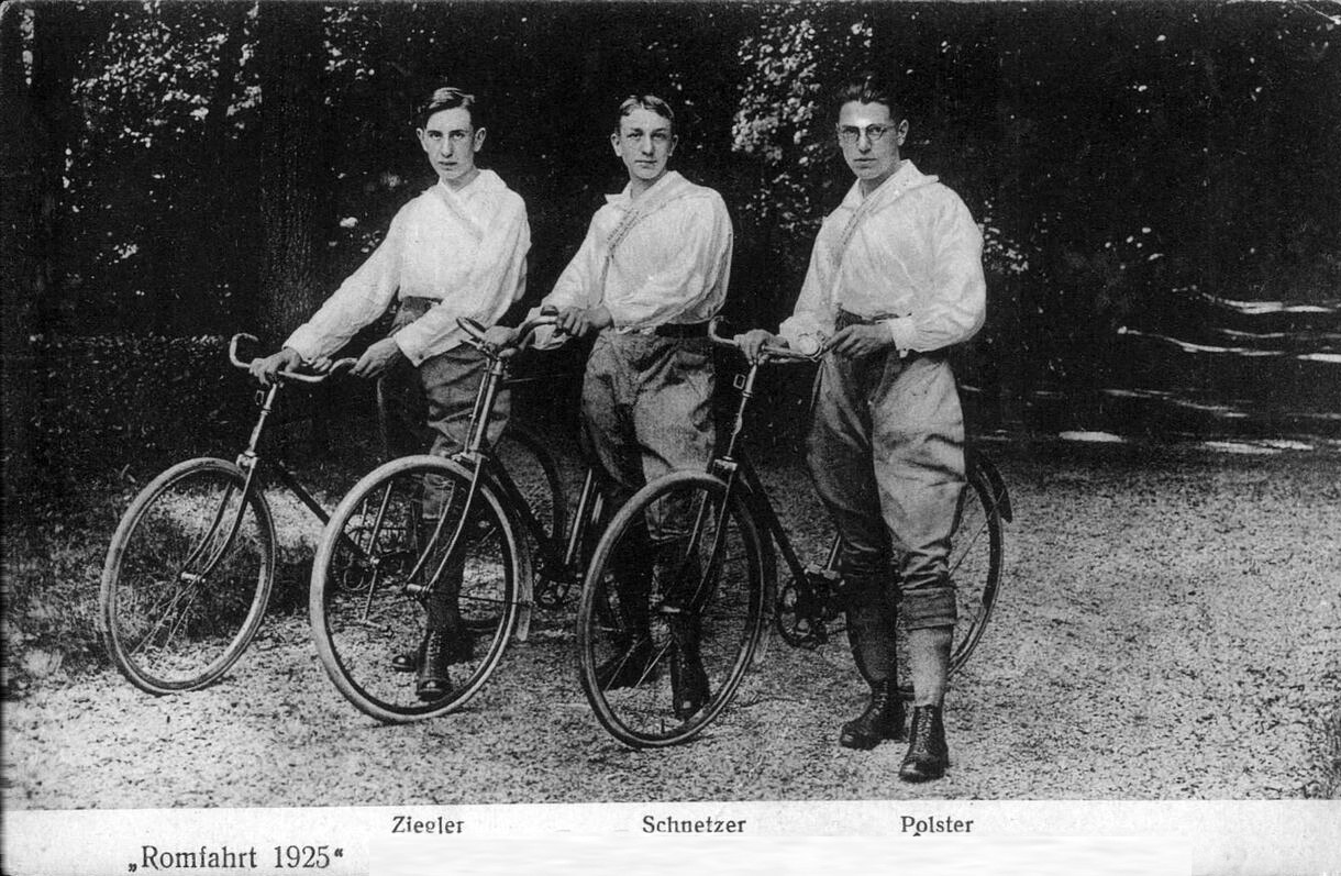 Polster, Schnetzer, Ziegler (w3074)