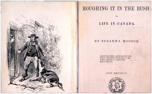 Roughing it in the Bush