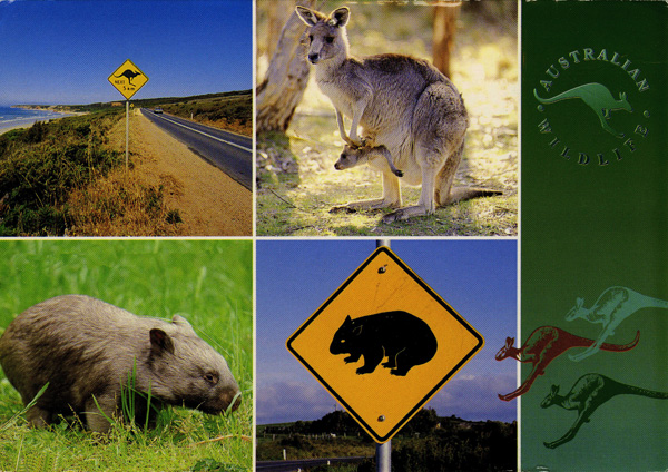 Guitry Sacha, Cartoline postali